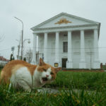 Костел святого Иосифа в Воложине Костел святого Иосифа в Воложине