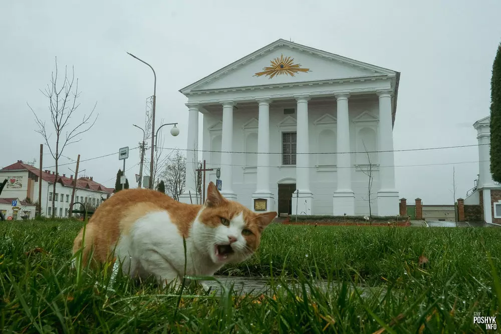 Касцёл Святога Іосіфа ў Валожыне Касцёл Святога Іосіфа ў Валожыне