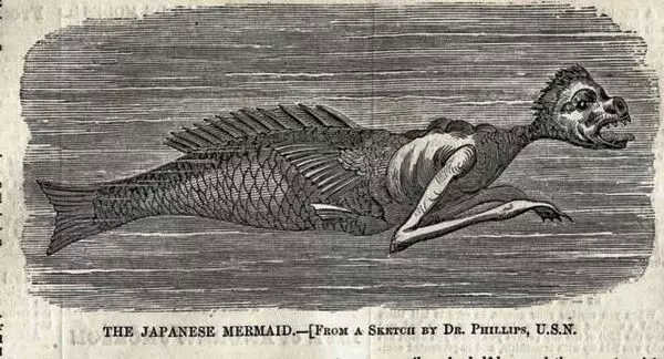 mermaids unusual