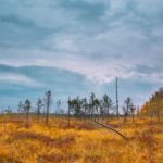 Заповедники и развитие экотуризма в Беларуси Заповедники и развитие экотуризма в Беларуси