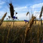 ТОП-10 распространенных ассоциаций с Беларусью ассоциации с Беларусью