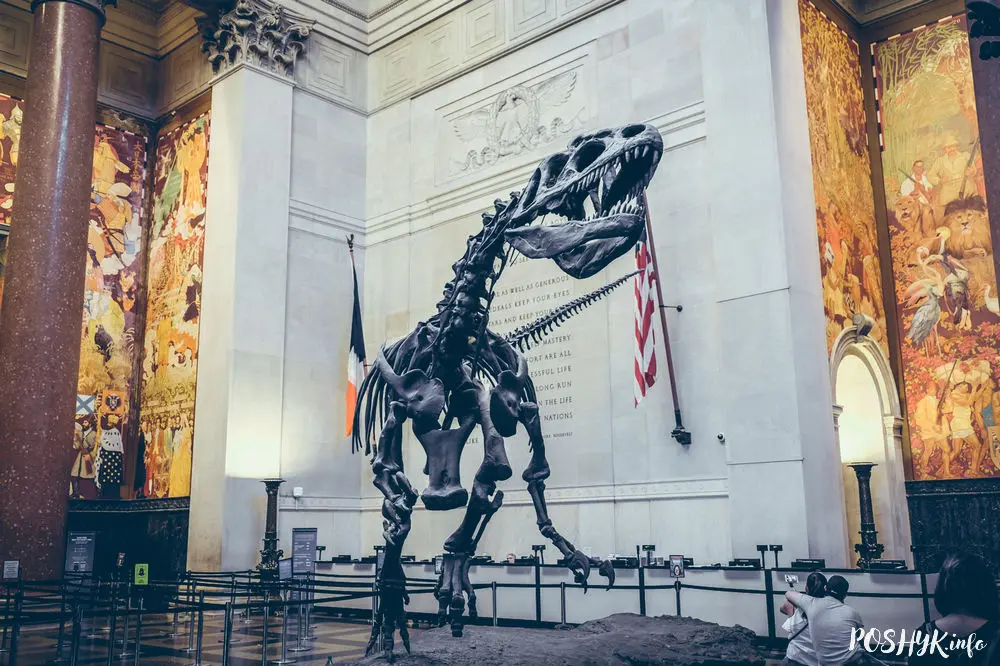 Амерыканскі музей натуральнай гісторыі