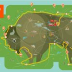 Маршрут в виде зубра: что посмотреть недалеко от Минска? что посмотреть недалеко от минска