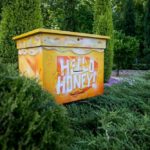 Всемирный день пчел. Эко-акция Hello honey Всемирный день пчел