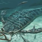 В Солигорске обнаружили ракоскорпиона.