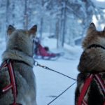 где провести рождественские каникулы в европе