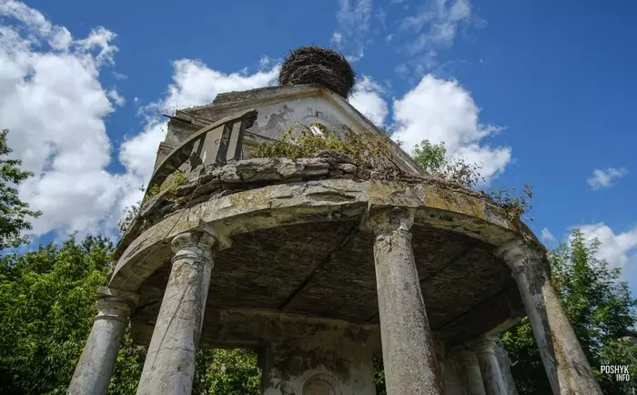 Руіны сядзібы ў Дзікушках Руіны сядзібы ў Дзікушках