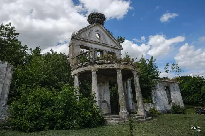 Дзікушкі Дзікушкі