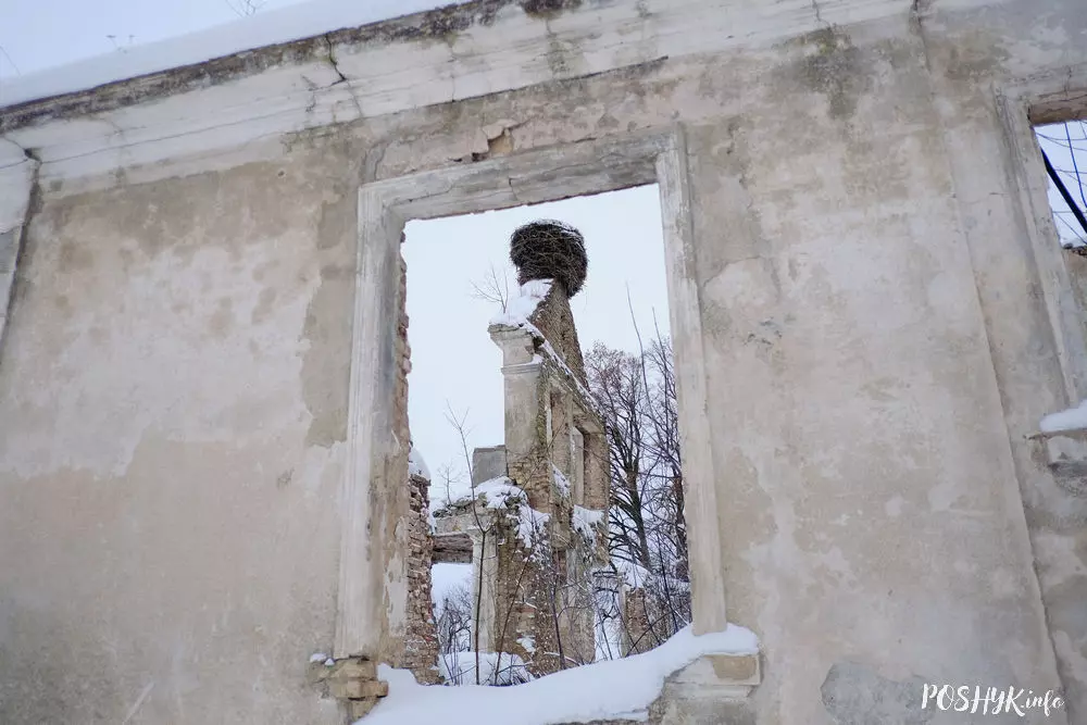 Руіны Беларусі Руіны сядзібы ў Дзікушках