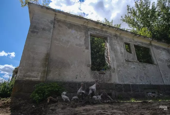 Маёнтак Дзікушкі Маёнтак Дзікушкі