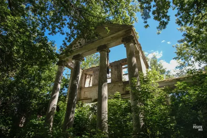 Закінутая сядзіба Дзікушкі Закінутая сядзіба Дзікушкі