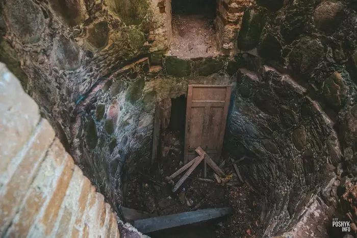 Флігель Жалудок