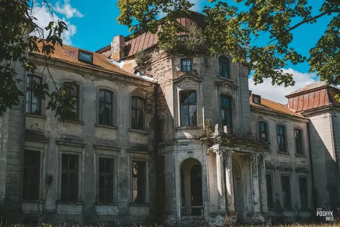 Пасёлак Жалудок