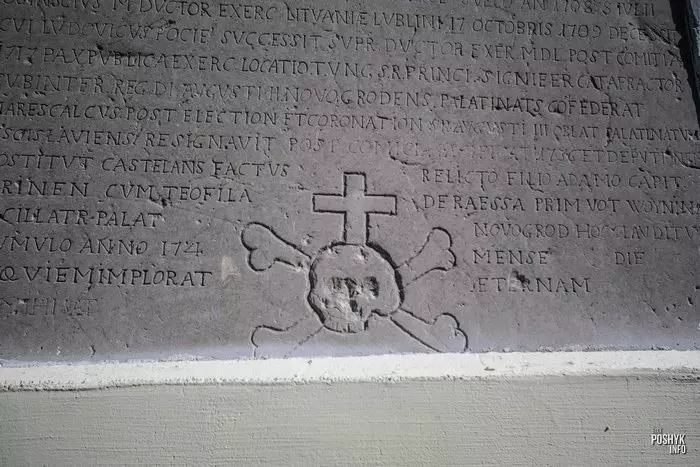 Адамава галава Варонча Адамава галава Варонча