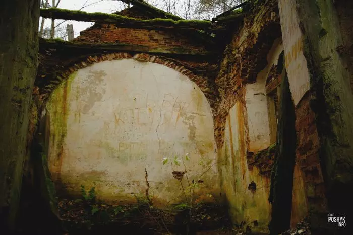 Руіны капліцы магільнага склепа ў Манькавічах Руіны капліцы магільнага склепа ў Манькавічах