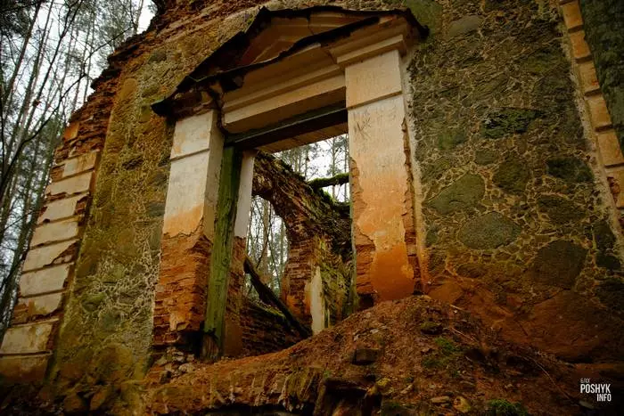 Руіны капліца-пахавальня Друцкіх-Любецкіх у Манькавічах Руіны капліца-пахавальня Друцкіх-Любецкіх