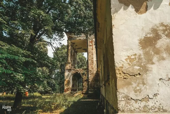 Лінова Беларусь