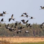 Курс на поўнач: едзем здзіўляцца ў Міёрскі раён