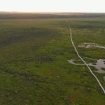 Чароўны свет Ельні: 7 фактаў пра знакамітае балота