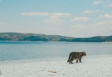 Lake Salda: Discover the Turkish Maldives