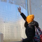 Как минские школьники спасали птиц от городских экранов Экраны-убийцы: как минские школьники спасали птиц