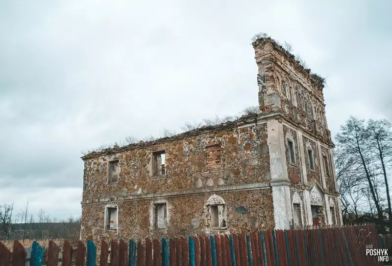 Manor Zverovichi "Nemeyki" in Dubovtsy