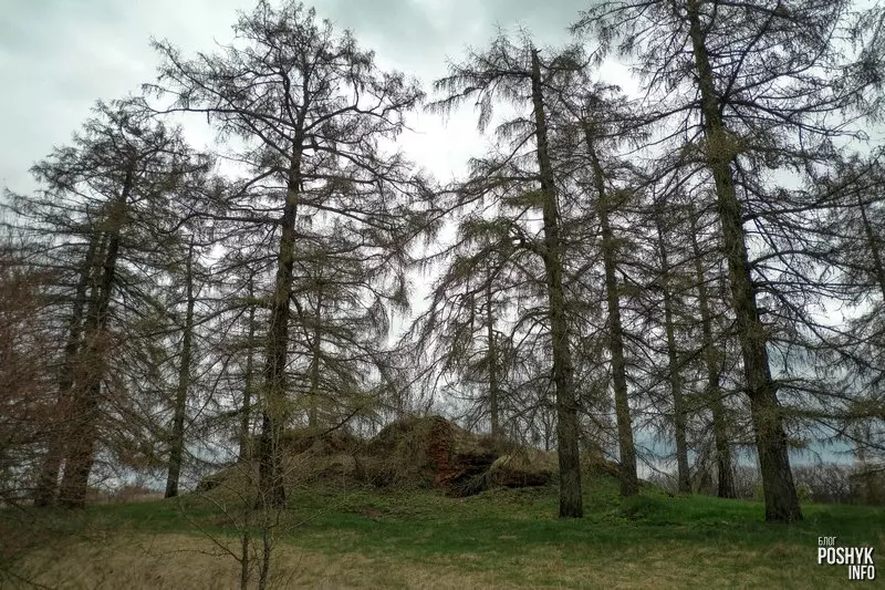 Месца, дзе была капліца Вайніловічаў