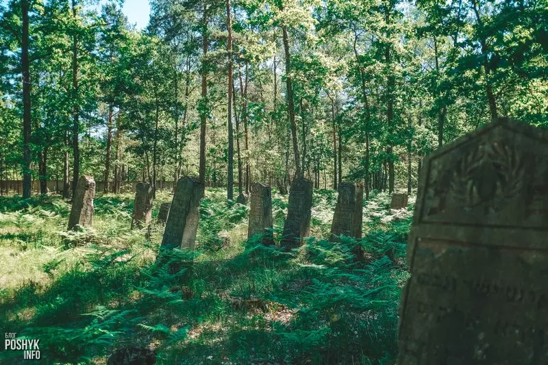 Старадаўнія могілкі ў вёсцы Ленін