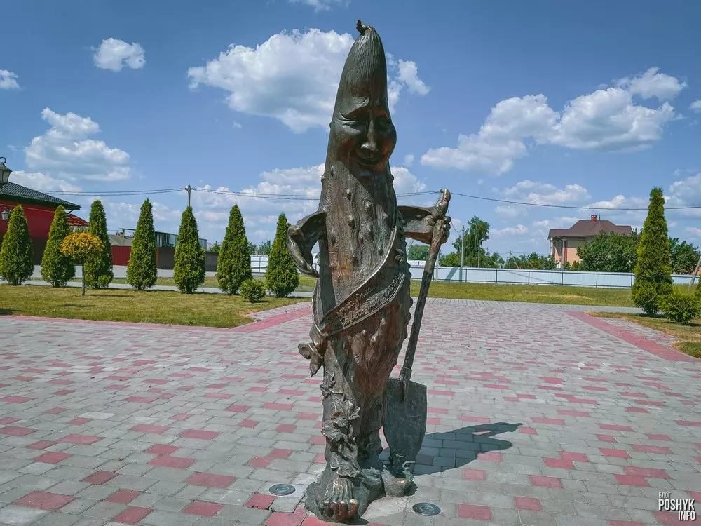 Я агурочак заліхвацкі, ядуць мяне па ўсёй планеце! Агурок у Альшанах, Столінскі раён