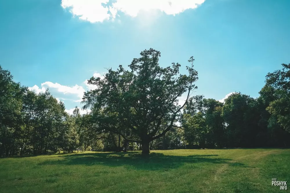 Дзе быў палац Радзівілаў у Століне? Дзе быў палац Радзівілаў у Століне?