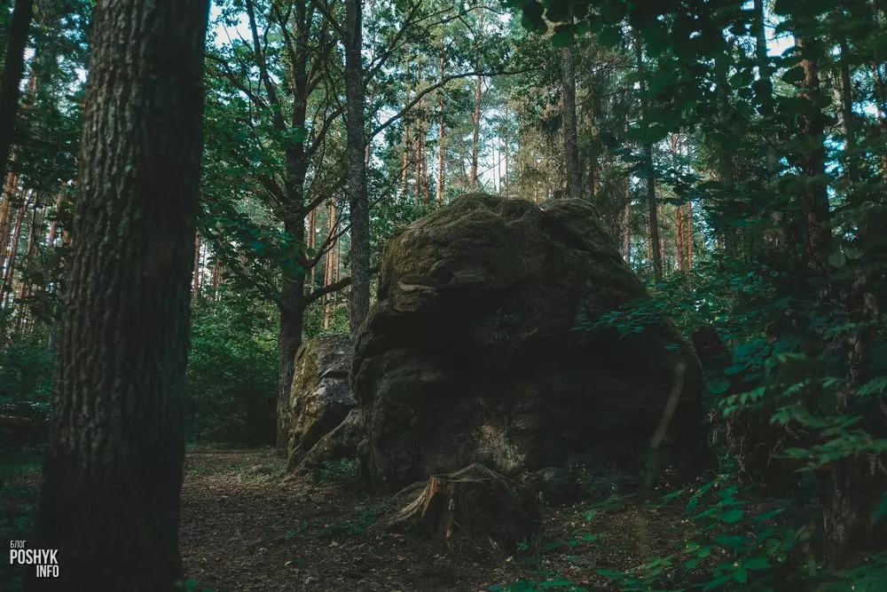 Незвычайныя славутасці Беларусі Незвычайныя славутасці Беларусі