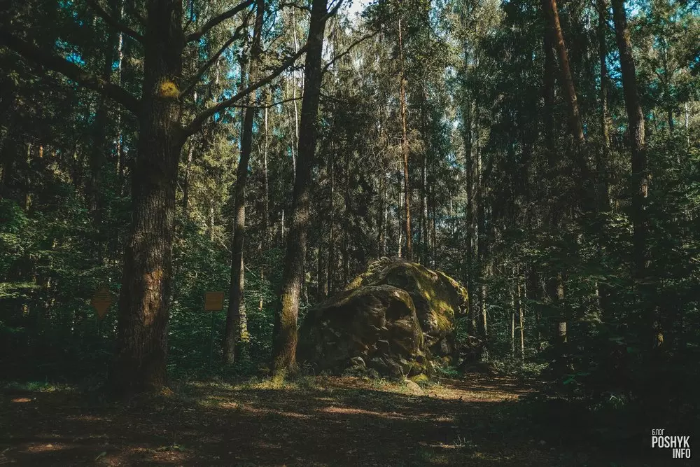 Вялізны расколаты валун Беларусь Вялізны расколаты валун Беларусь