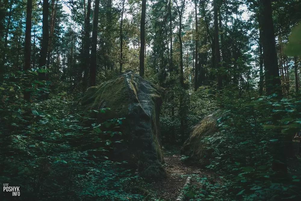 Цікавыя легенды Беларусі Расколаты камень Альбярцін