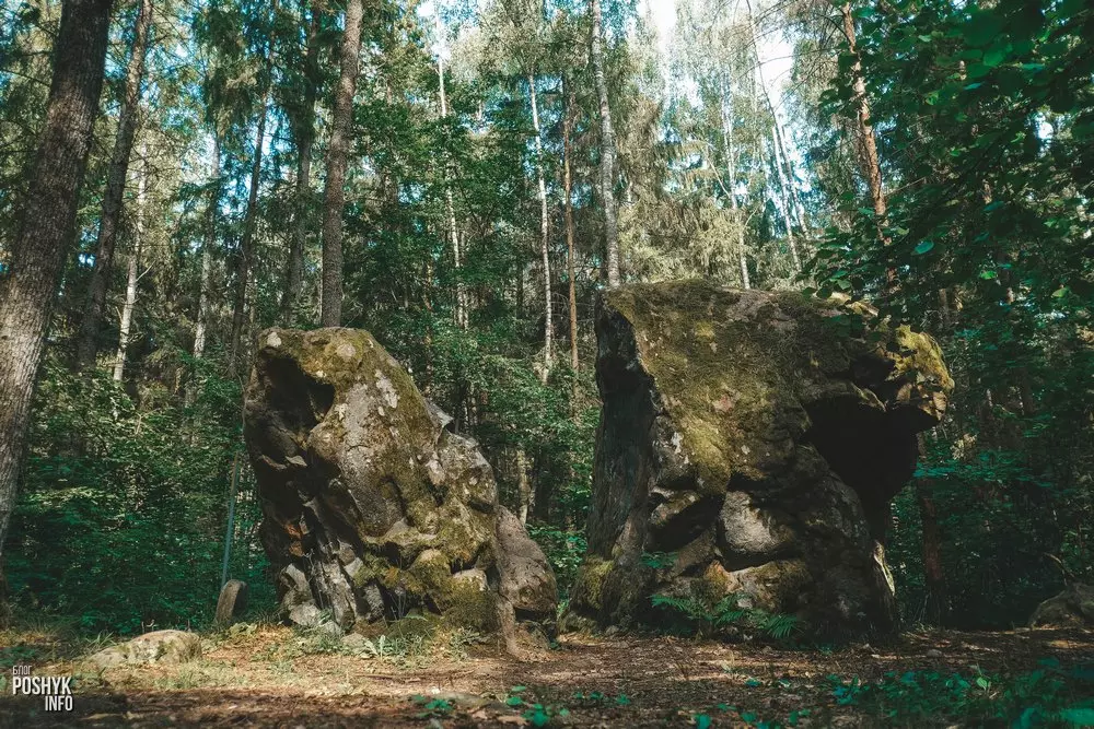 Незвычайная цікавостка Беларусі: расколаты камень каля Слоніма Расколаты валун каля Слоніма
