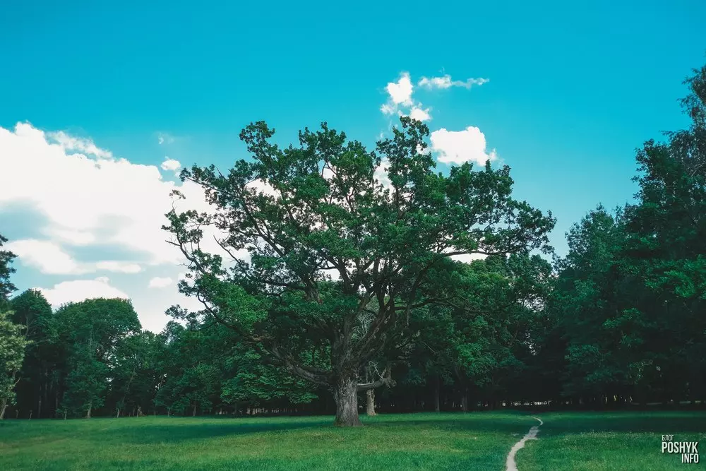 Страчаная спадчына: палац Радзівілаў "Маньковічы"