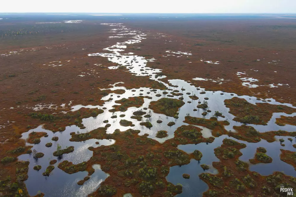 Yelnya Nature Reserve in Miory District