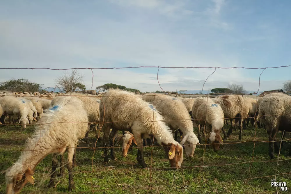 Чым заняцца ў Рыме і што паглядзець? Чым заняцца ў Рыме і што паглядзець?