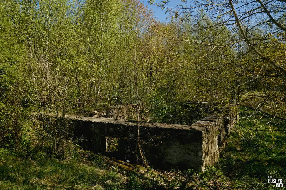 Руіны млынка ў вёсцы Ручыца Руіны млынка ў вёсцы Ручыца