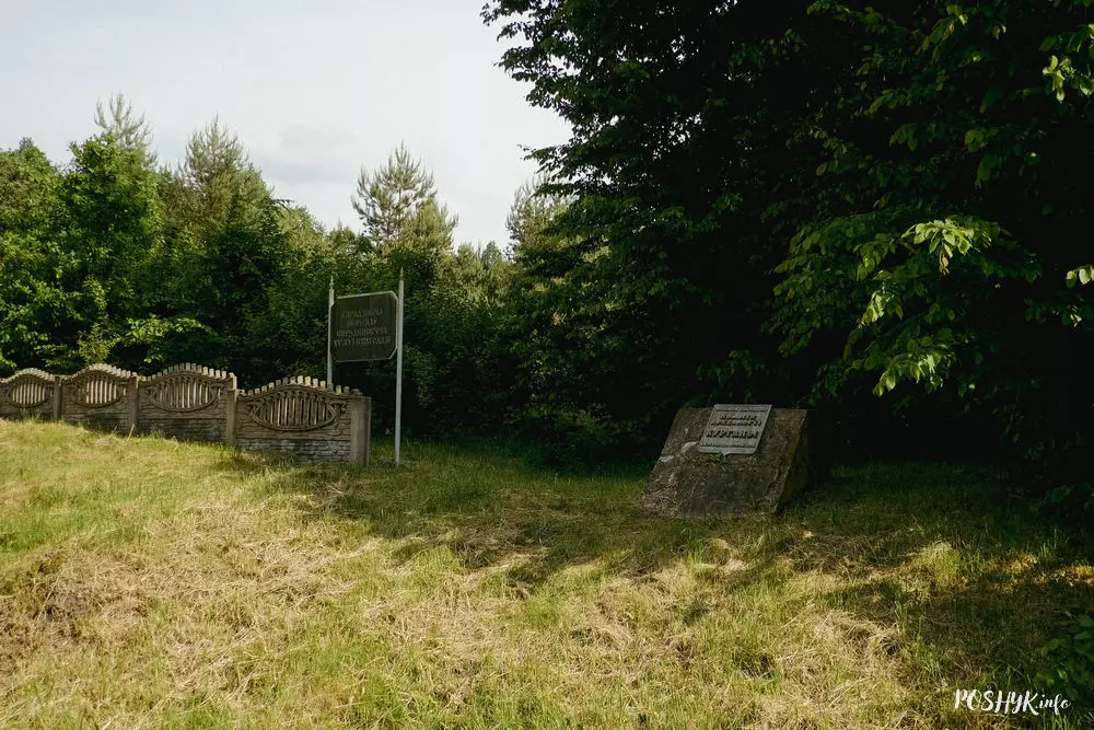 Лыскаўскі замак Лыскаўскае гарадзішча