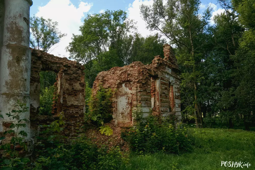 Рэшткі сядзібы Свяцкіх "Старая Беліца" Руіны Свяцкіх "Старая Беліца"