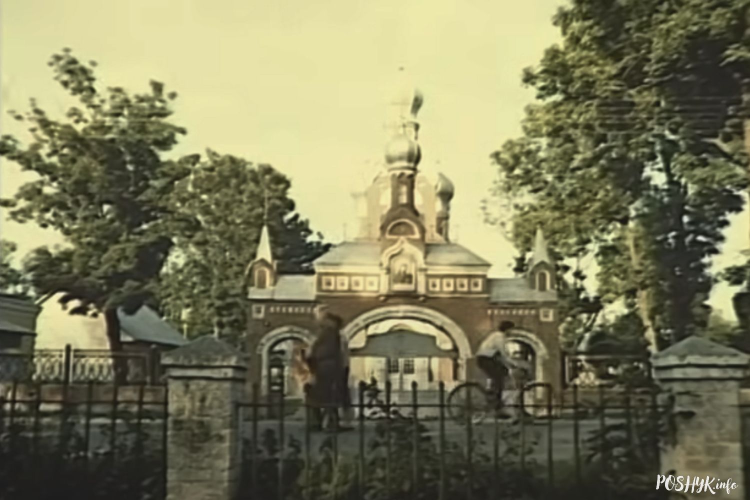 Цветы провинции Давид Городок