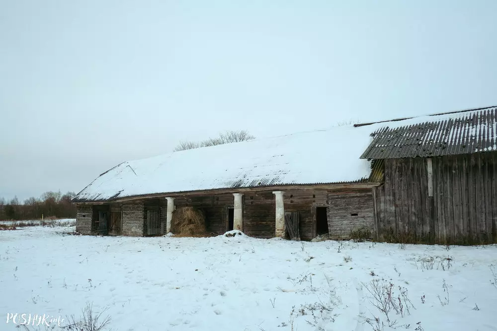 Гаспадарчы двор у вёсцы Забрэззе