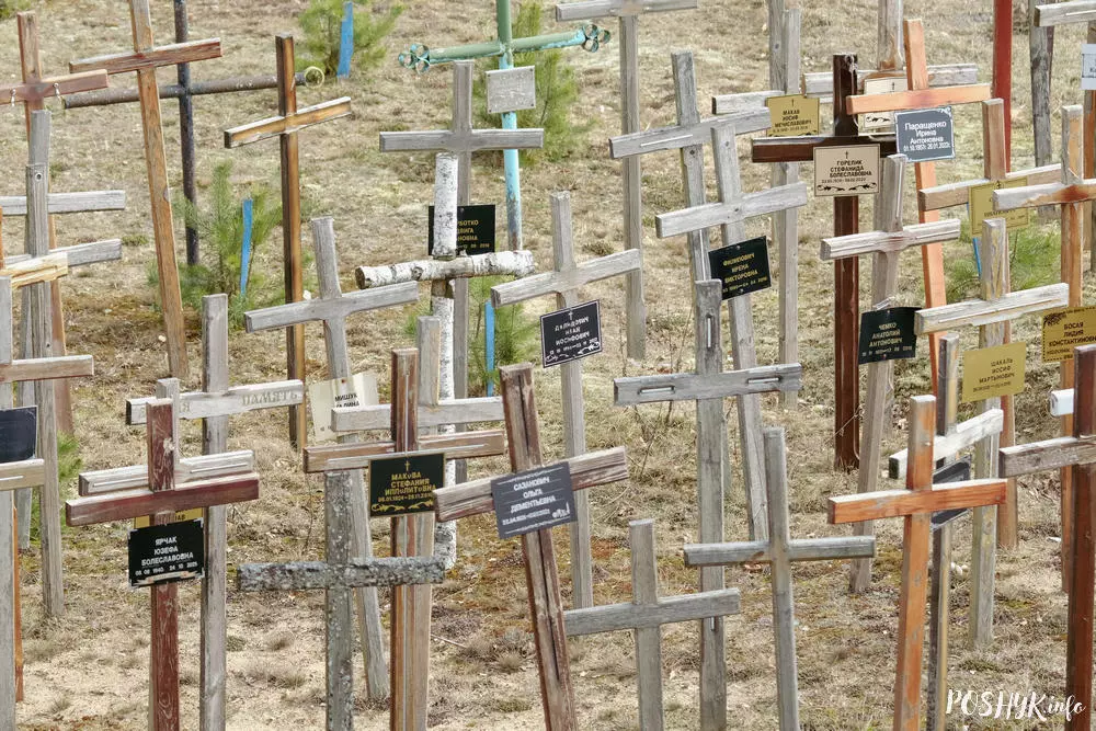 Каталіцкія могілкі ў аграгарадку Налібакі