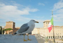 Список интересных фактов про Италию, связанных с туризмом