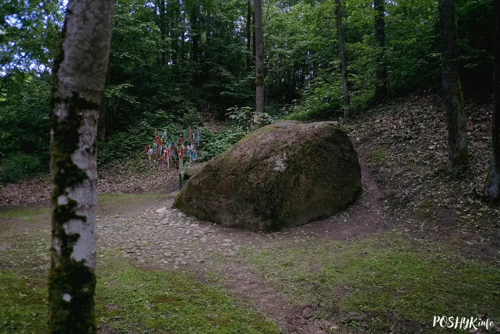 Помнікі прыроды ў Беларусі