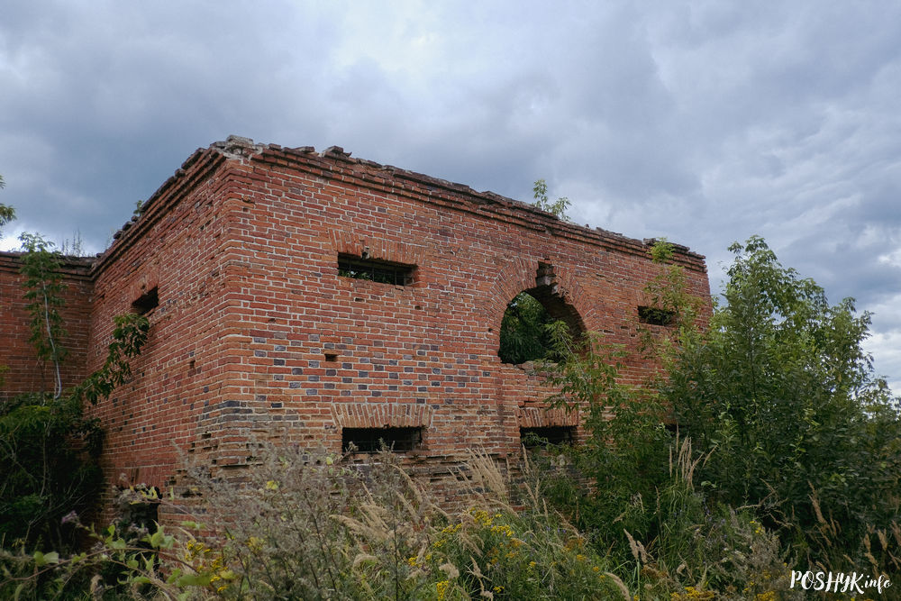 Руіны ў Чавусах