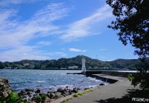 What to See and Do in Shimoda: A Complete Travel Guide What to See and Do in Shimoda