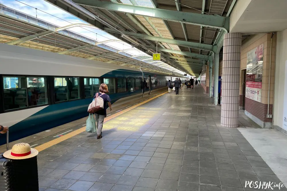 Tokyo to Shimoda train
