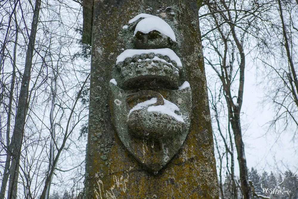 Райца герб Лебедзь