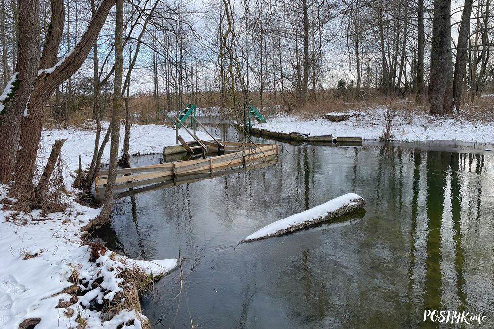 Самая кароткая рака Беларусі - Скема